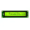 Focus LCDs C161CLBSYLY6WT55XAA