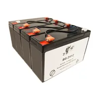 BatteryGuy BG-2412