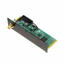 Option NV CG2124-12129