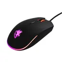 Digifast NF24