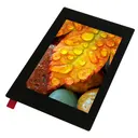 Display Visions EA TFT035-34AITC