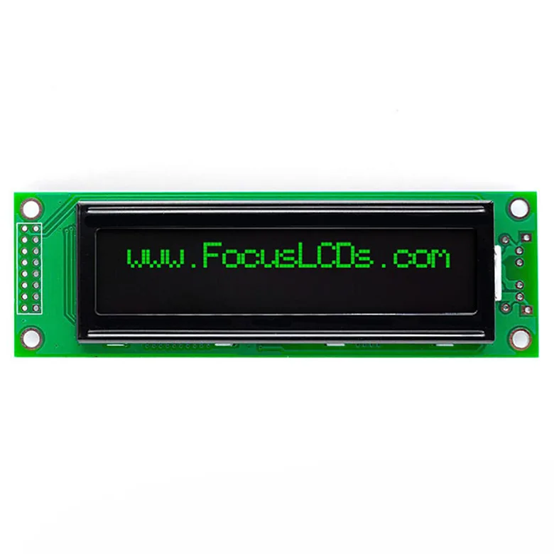 Focus LCDs C202B-KG-LW65