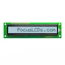 Focus LCDs C161B-FTW-LW65